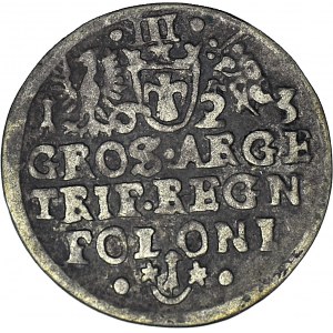 Zygmunt III Waza, Trojak 1623, Kraków