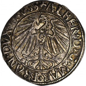 Lenne Prusy Książęce, Albrecht Hohenzollern, Grosz 1543, Królewiec, piękny