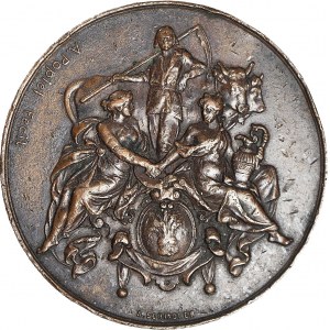 Medal 1894, Powszechna wystawa krajowa we Lwowie, brąz 63,5 mm