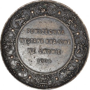 Medal 1894, Powszechna wystawa krajowa we Lwowie, brąz 63,5 mm