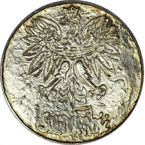 Medal 1989, Solidarność/Wałęsa, Projekt (J. Stasiński), srebro 925', 45mm