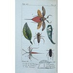 DE TIGNY F. M(artin) G(rostete) T., Histoire naturelle des insectes.