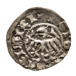 Polska, Kazimierz IV Jagiellończyk 1446-1492, półgrosz koronny