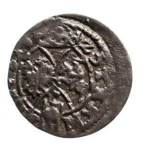 Polska, Zygmunt III Waza 1587-1632, ternar 1625, Łobżenica.