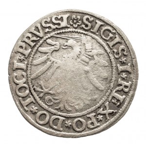 Polska, Zygmunt I Stary 1506-1548, grosz 1533, Elbląg.