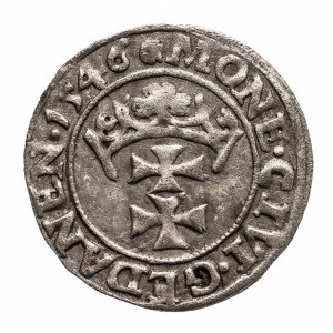 Polska, Zygmunt I Stary 1506-1548, szeląg 1546, Gdańsk.