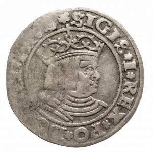 Polska, Zygmunt I Stary (1506–1548), grosz 1530, Toruń