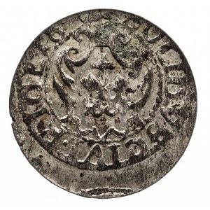 Polska, Zygmunt III Waza 1587-1632, szeląg 1618, Ryga