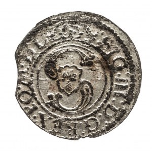 Polska, Zygmunt III Waza 1587-1632, szeląg, 1624, Wilno