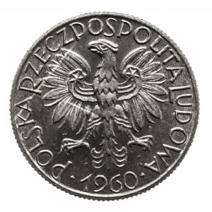 Polska, PRL 1944-1989, 5 złotych 1960 Rybak