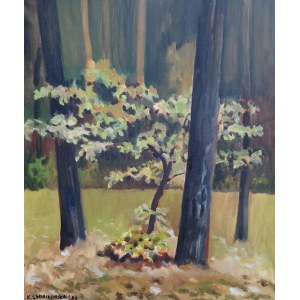 Katarzyna Slowikowska, Autumn
