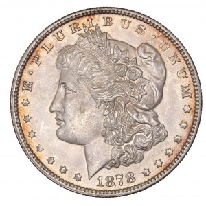 Morgan Dollar 1878