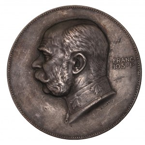 Franz Joseph I, Austrian Empire Medal 1916