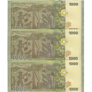 Syria, 1.000 Pounds, 2013, UNC, p116, (Total 3 consecutive banknotes)