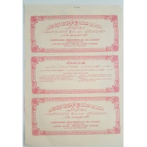Turkey, Ottoman Empire, 25 Livres, 1924, UNC (-), BOND SHARE