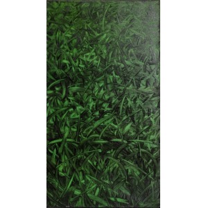 Piotr Trusik (1994), Grass (2013)