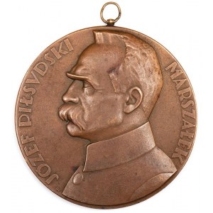 Medal, JÓZEF PIŁSUDSKI, 10 ROCZNICA ZAWIESZENIA BRONI, 1930
