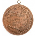 Medal, JÓZEF PIŁSUDSKI, 10 ROCZNICA ZAWIESZENIA BRONI, 1930