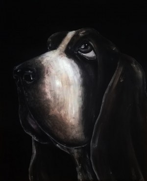 Aleksandra Lacheta, Basset, 2019