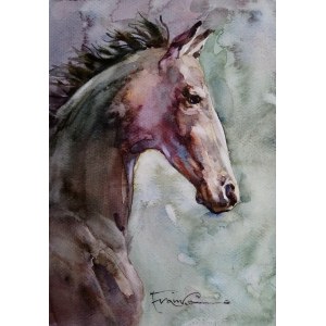 Alexander Franko, Il cavallo