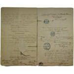 Dokument, Królewski sąd okręgowy w Śremiu 18 Sierpnia 1860 - rodzina szlachecka Plater