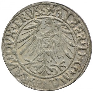 Prusy Książęce, Albert Hohenzollern, grosz 1544