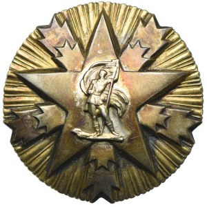 Jugosławia, Order Zasługi Narodowej, srebro