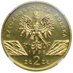 2 złote 1996, Jeże, NGC MS67