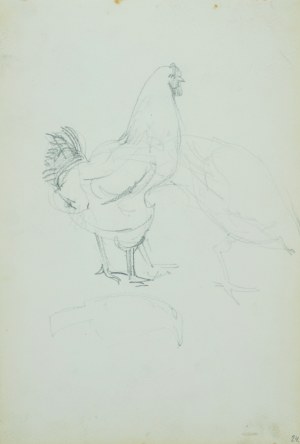 Włodzimierz Tetmajer (1861 - 1923), Kura oraz szkice domowego ptactwa, ok. 1900