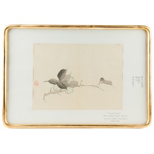 Gyokusen Mochizuki (1834-1913), Young Plums, l. 50. XX w.