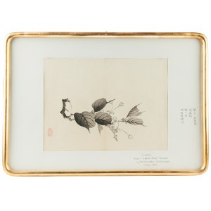 Gyokusen Mochizuki (1834-1913), Cherry, l. 50. XX w.