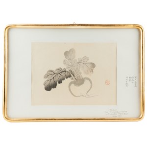 Gyokusen Mochizuki (1834-1913), Turnip, l. 50. XX w.