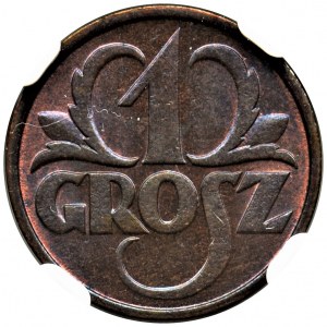 1 grosz 1931 - NGC MS66 BN