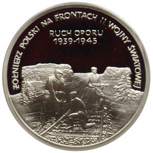 200.000 złotych 1993, Żołnierz Polski na Frontach II Wojny Światowej - Ruch Oporu 1939-1945