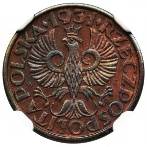 1 grosz 1931 - NGC UNC