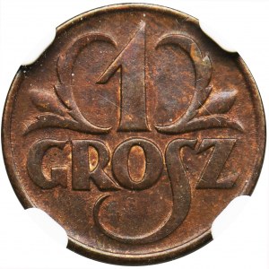 1 grosz 1925 - NGC MS64 BN