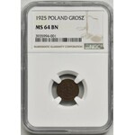 1 grosz 1925 - NGC MS64 BN