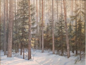 Wojciech Piekarski, Zimowy las i świerki
