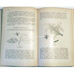 JANKOWSKI - SAD I OGRÓD OWOCOWY 1878r. Drzeworyty