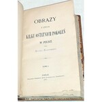 FALKOWSKI - OBRAZY Z ŻYCIA KILKU OSTATNICH POKOLEŃ W POLSCE. t.1-5 [komplet w 5 wol.] skóra Napoleon