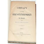 FALKOWSKI - OBRAZY Z ŻYCIA KILKU OSTATNICH POKOLEŃ W POLSCE. t.1-5 [komplet w 5 wol.] skóra Napoleon