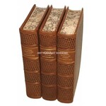 SAPKOWSKI - TRYLOGIA HUSYCKA skóra