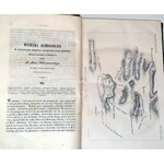 BIBLIOTEKA WARSZAWSKA tom 1-3 z 1852 roku ryciny
