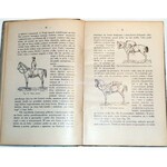 LASKOWSKI - DZIESIĘĆ SPORTÓW dla młodzieży z 93 ilustracyami w tekście wyd. 1912
