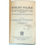 SZAFER- ROŚLINY POLSKIE wyd. 1924