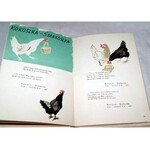 BRZECHWA- KACZKA DZIWACZKA  wyd.1953r.