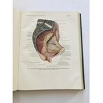 Topographische Anatomie des Menschen [Anatomia człowieka]