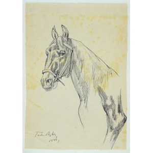 Tadeusz Rybkowski (1848-1926), Szkic głowy konia i fragment nogi konia, 1881 (?)