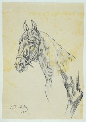 Tadeusz Rybkowski (1848-1926), Szkic głowy konia i fragment nogi konia, 1881 (?)