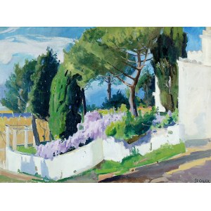 Stanisław Gałek (1876-1961), Capri